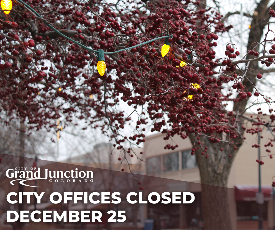 Lights strung across a branch outside. Text on graphic.