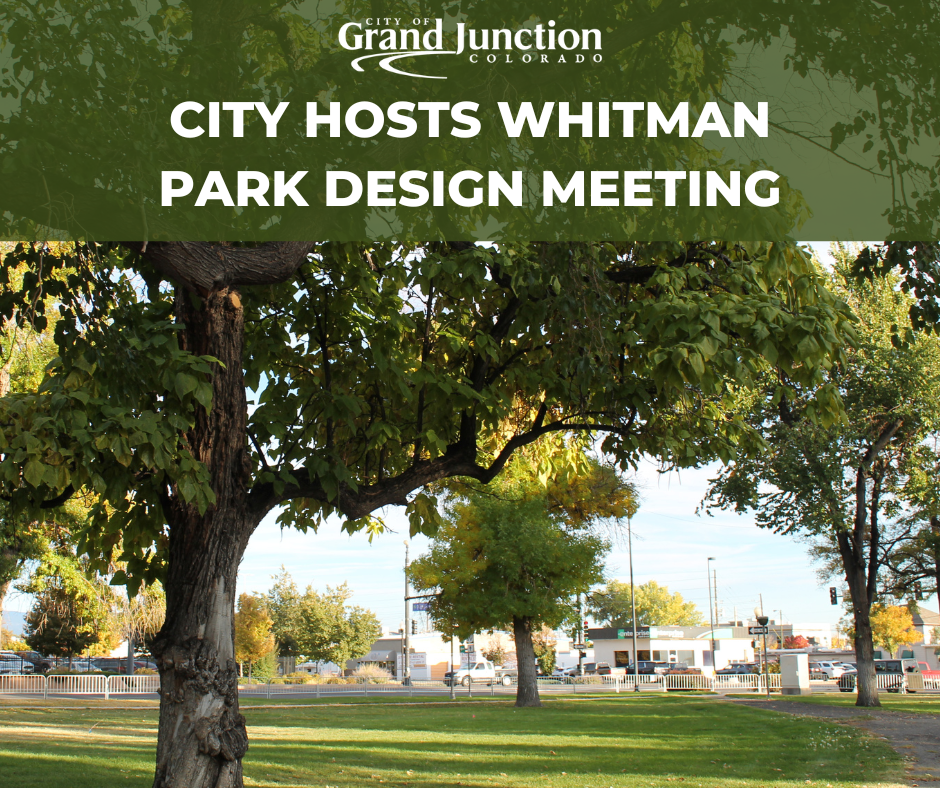 A park with large trees in the background. 