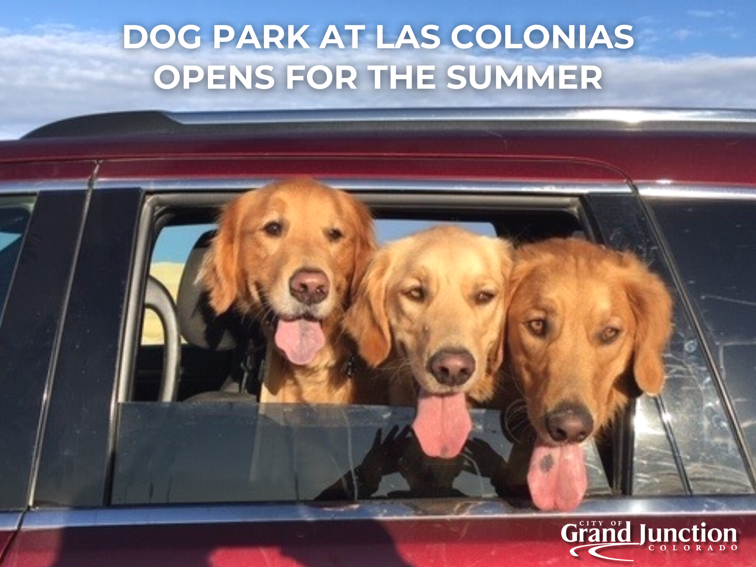 Three dogs with their heads out a stopped car window. Text on graphic