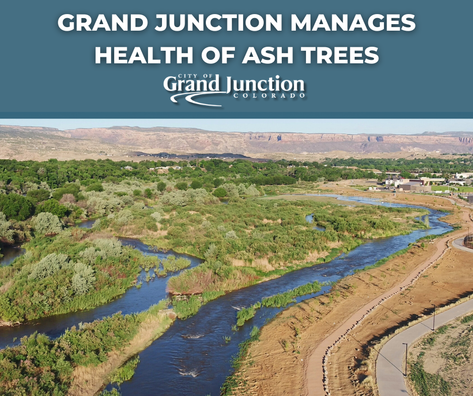 A section of the Colorado River with a path along the side. Text on graphic. 