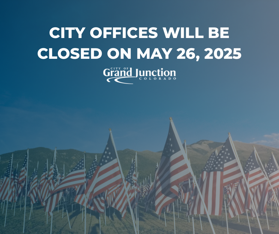 American flags in a row. Text on graphic for Memorial Day 