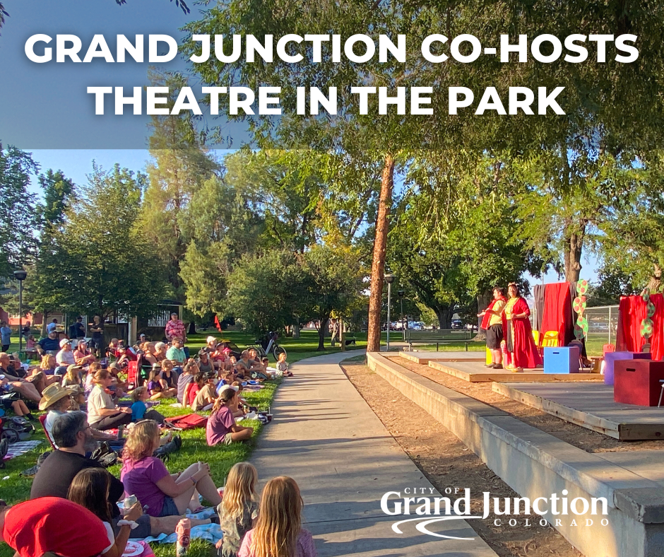 Community members in a park watching a performance