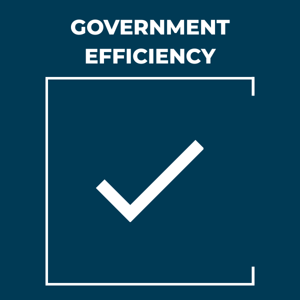 GOVERNMENT EFFICIENCY- WHITE