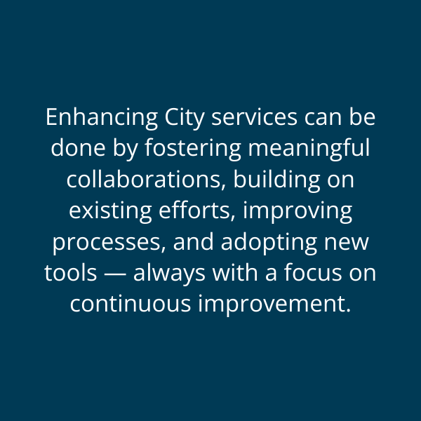 GOVERNMENT EFFICIENCY - DETAIL